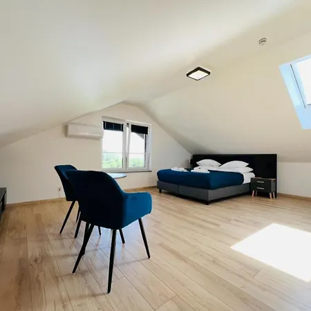 Royal & - Jacuzzi, Sauna, Melex Na Plaze, Masaze, Z Kuchnia, Widok Na Zalew Wislany Penzion
